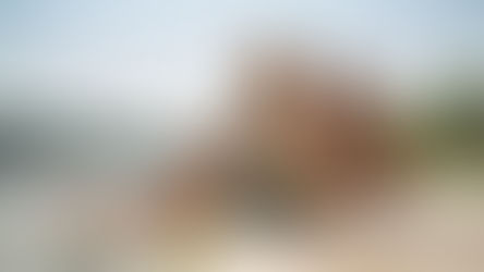 The Impact of Parent-Child Attachment on Child Development: Understanding the Role and Risks