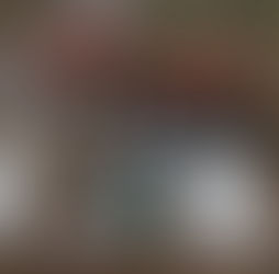 SIGeo: a nova inteligência territorial que deve transformar o planejamento urbano e ambiental em Santa Catarina