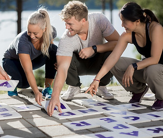 Group Puzzle Activity