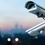 Security System Specialist/ Senior Lead