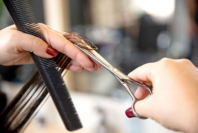 We specialize in convex shear sharpening for hair salons and dog grooming.