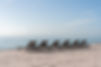 Beach Lounge Chairs