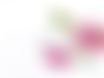 Hormones and Mental Health