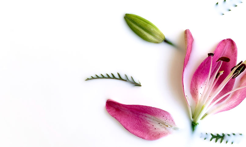 Fleurs 