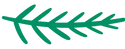 Green Leaf Illustration
