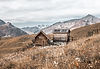 Cabane en bois