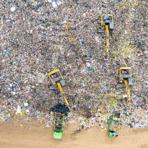 Trash Talk: What Happens After You Throw Something Away?