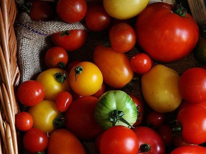 tomates