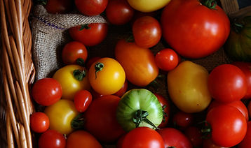 tomates