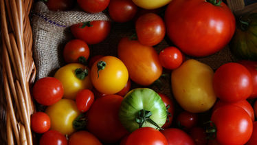 Pomodori