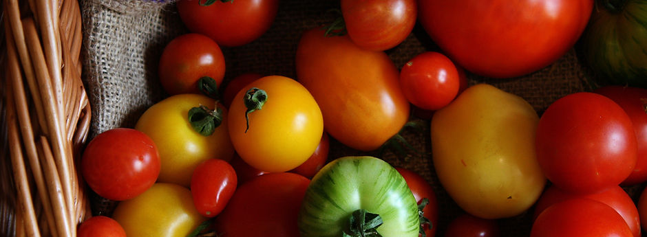 Pomodori