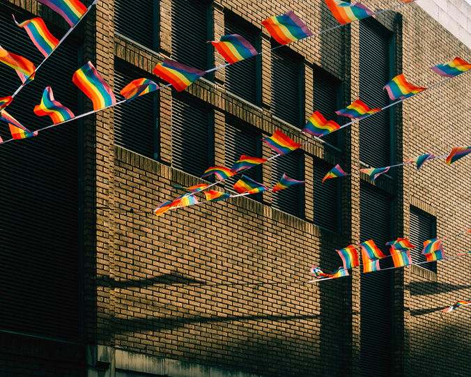 Rainbow Flags Display