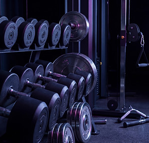 Gym Equipment Display