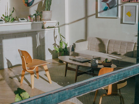 Las cactáceas un mundo sencillo, versátil y con gran potencial para la decoración