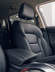 Leather Car Interior