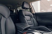 Leather Car Interior