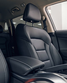 Leather Car Interior