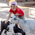 Animal Farm