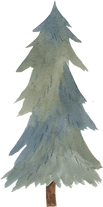 Watercolor illustration of a tall evergreen tree with blue and green tones.
