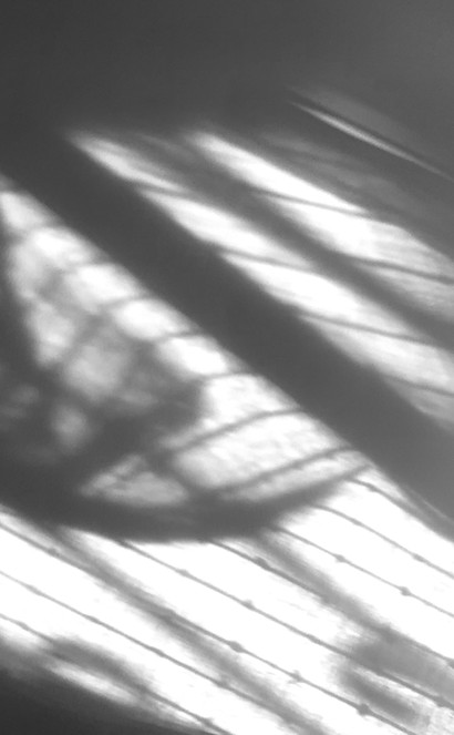 Shadows