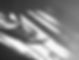 Shadows