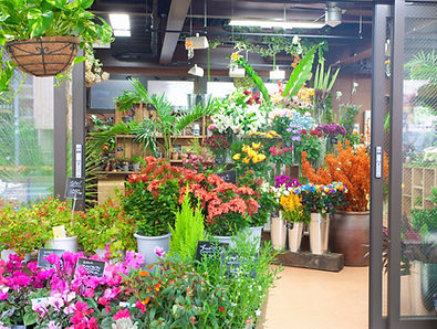 豊中花園店内