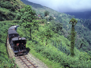 Мухитдинов Алим Изатуллаевич