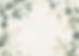 Floral Border Design