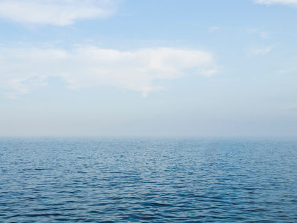 The Magic of Mindfulness: An Introduction