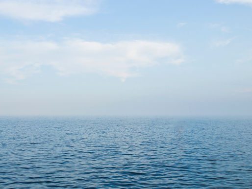 Mindfulness: Cultivating Present Moment Awareness