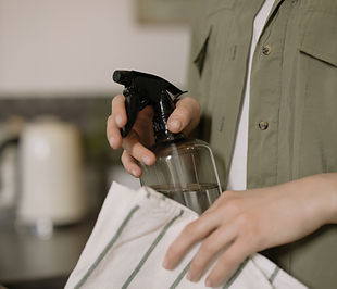 Cleaning Spray