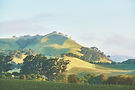 Rolling Hills Landscape