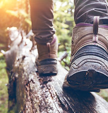nature immersion and movement workshop class