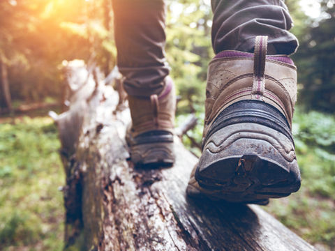 DISCOVER THE BEST HIKING TRAILS IN THE AREA