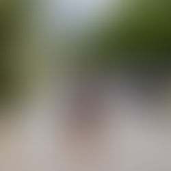 Las mejores mochilas para el turismo urbano en 2024