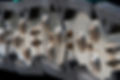 Close-up of rugged metal discs with protruding bolts