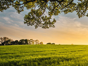 5 Steps to Building a Regenerative Agriculture Coalition to Tackle Climate Change