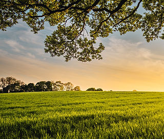 Green Farm
