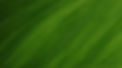 Green Leaf