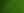 Green Leaf