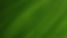 Green Leaf