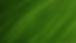 Green Leaf
