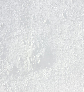 White Textured Surface