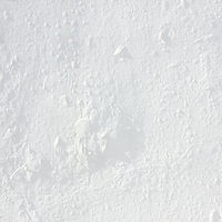 White Textured Surface