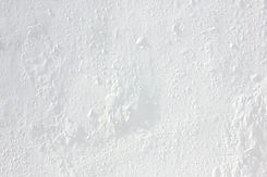 White Flakey Backdrop