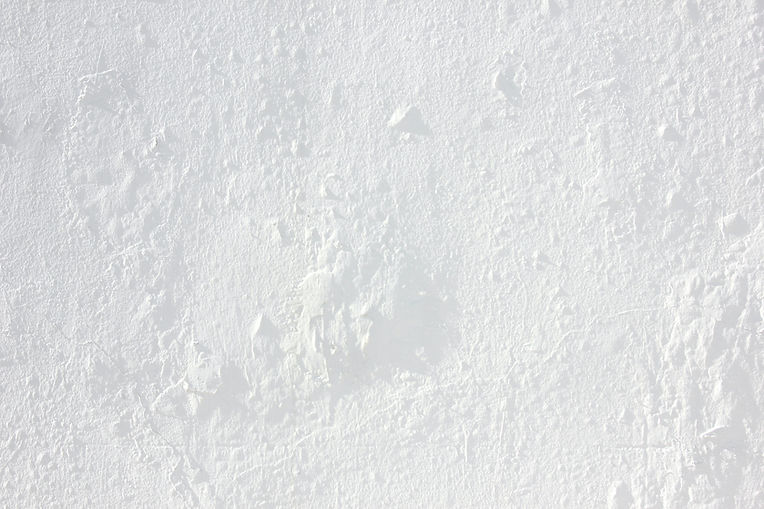 White Textured Surface