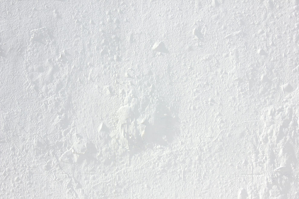 White Textured Surface