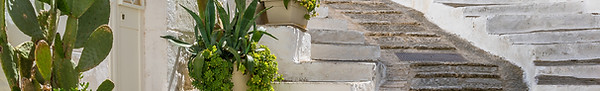 Path with Plants
