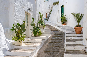 Path with Plants