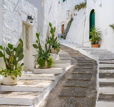 Potted plants on stairs